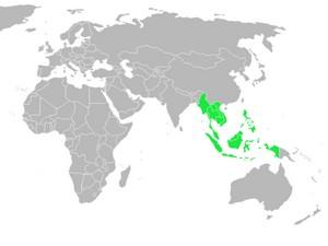 قصة الإسلام في جنوب شرق آسيا