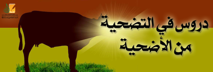 دروس في التضحية من الأضحية