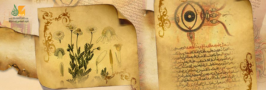 الحضارة الإسلامية وتقدير العلماء