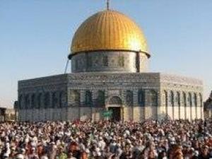المعلمون ونصرة فلسطين