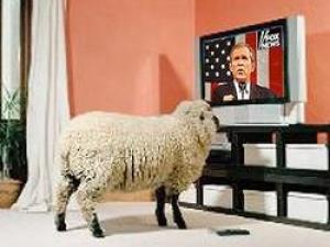 الفصام الأليم !! 