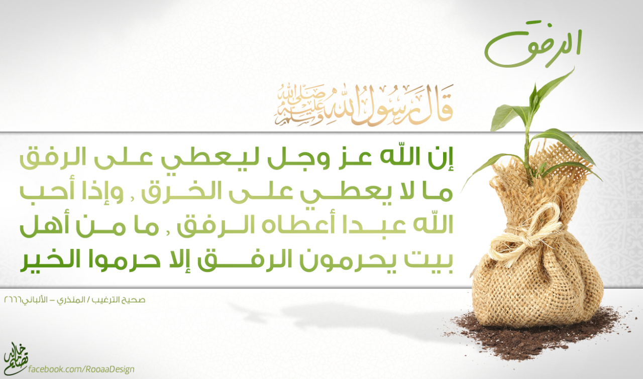 يوميات صائم .. الرفق