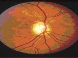 Optics in the Islamic Civilization