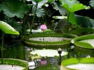 Las características de los jardines islámicos.