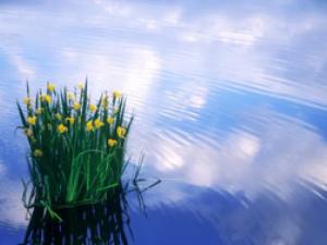 The Historical Fallacy of Atonement:2/2