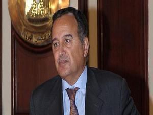 وزير الخارجية: نأمل ألا يندفع الاتحاد الأوروبى تجاه تدويل المسألة المصرية