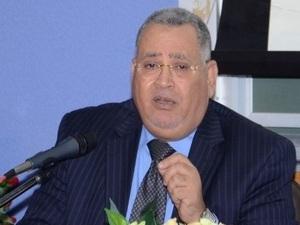 ممثل الأزهر بالخمسين: نعد دستورا يؤكد المرجعية الإسلامية والعربية لمصر