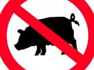 Policía alemán obligó un marroquí a comer carne de cerdo