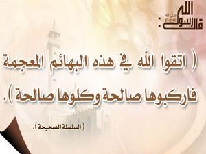 الرفق بالحيوان