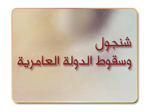 شنجول وسقوط الدولة العامرية