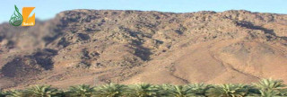 الطريق إلى الحديبية